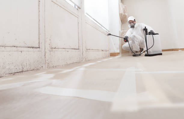 24/7 Emergency Commercial Mold Remediation experts in Mount Holly, NJ
